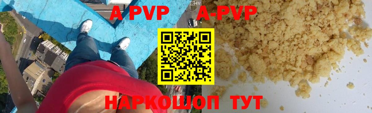 A-PVP СК Новодвинск