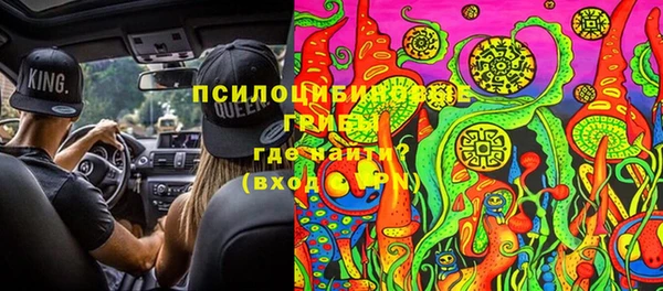 мдпв Алзамай
