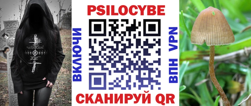 Псилоцибиновые грибы мицелий  где найти   Новодвинск 