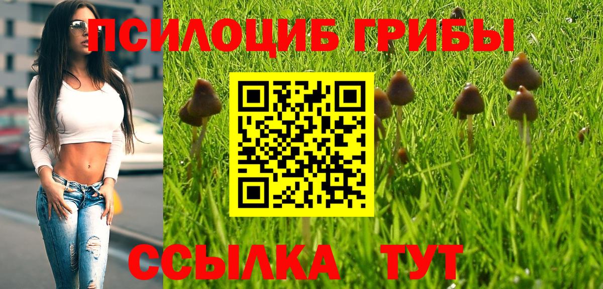 Псилоцибиновые грибы прущие грибы Новодвинск