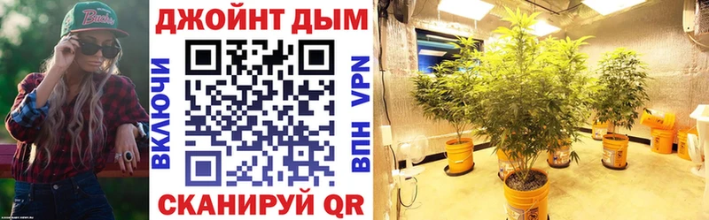 Бошки Шишки OG Kush  Новодвинск 